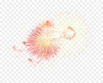 fireworks pink plant flower event