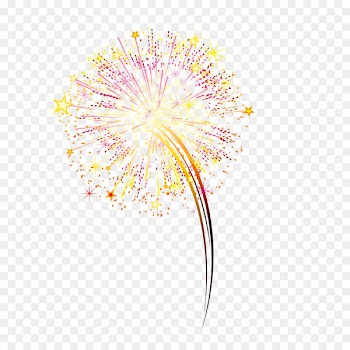Fireworks Portable Network Graphics Firecracker Vector graphics Image - artifice illustration 