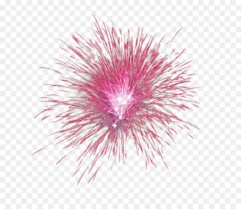 Fireworks Portable Network Graphics Image Photograph Clip art - fireworks 