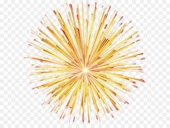 Fireworks Portable Network Graphics Transparency Image Clip art - feu dartifice 