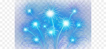 Fireworks Tangyuan Traditional Chinese holidays Chinese New Year - Fireworks 