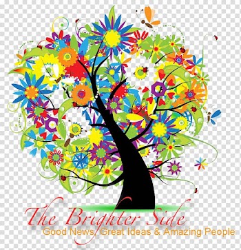 First Day of Summer Season Autumn , autumn transparent background PNG clipart