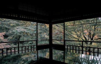 First Person Perspective Photography of Building Near Trees