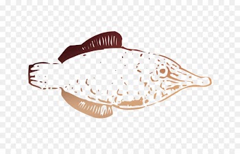Fish -  
