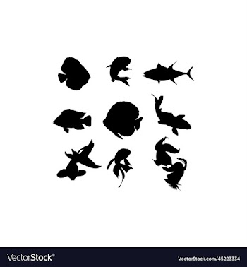 fish animal water collection set silhouette design