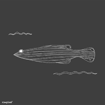 Fish aqua marine life | Free stock vector - 47012