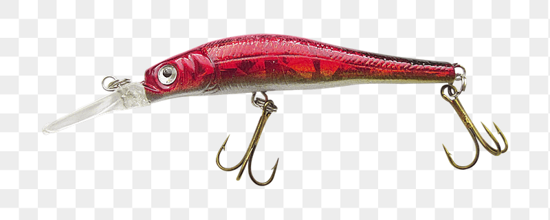 Fish bait png sticker, transparent | Free PNG - rawpixel