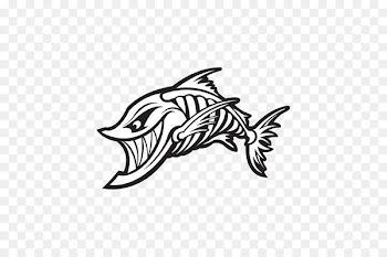 Fish bone Drawing Skeleton - Skeleton 