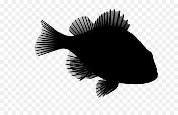 Fish Brush -  