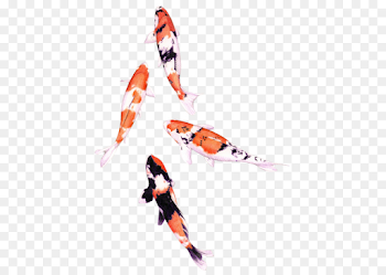 Fish Cartoon png download - 480*640 - Free Transparent Koi png ...