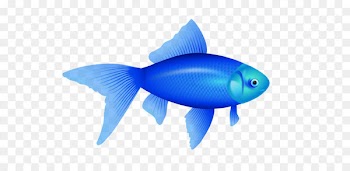 Fish Clip art - Blue Fish Png Image 