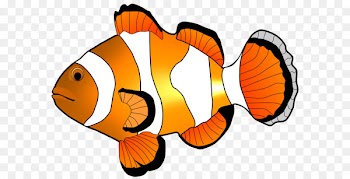 Fish Clip art - Clownfish Cliparts 