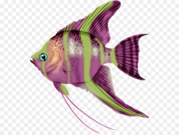 Fish Clip art - Colorful fish 