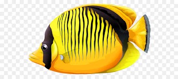 Fish Clip art - Fish Png 14 