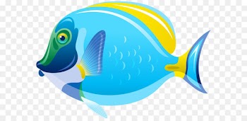Fish Clip art - Fish PNG Clip Art Image 