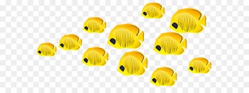 Fish Clip art - Fishes PNG Clip Art Image 
