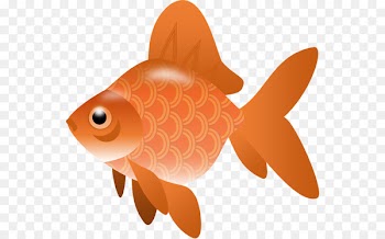 Fish Clip art - Free Fish Cliparts 