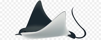 Fish Clip art - Ray Fish PNG Transparent Clip Art Image 