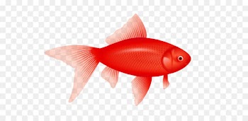 Fish Clip art - Red Fish Png Image 