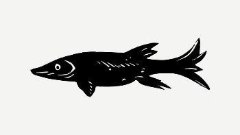 Fish clipart, vintage illustration psd. | Free PSD Illustration - rawpixel