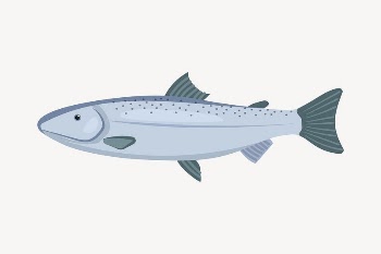 Fish collage element, cute cartoon | Free Vector Illustration - rawpixel