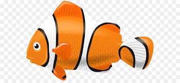 Fish Diagram Clip art - Fish Clown PNG Clip Art Image 