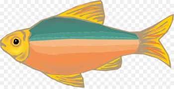 Fish Drawing Euclidean vector - Cartoon fish 