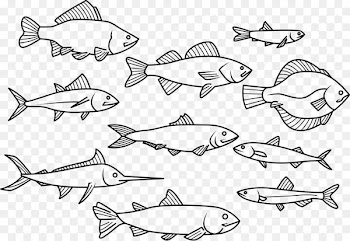 Fish Drawing - Painted fish 