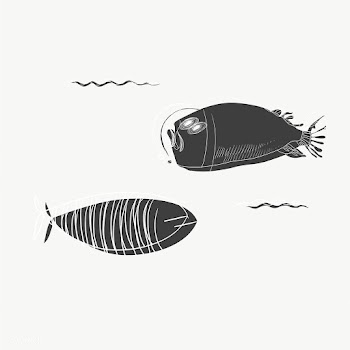 Fish drawing vector | Free stock vector - 47080