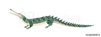 Fish-eating crocodile or gharial isolated on white background