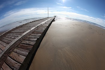 Fish-eye View of Gray Dock
