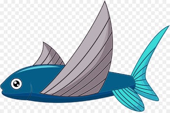 fish fin fish azure wing