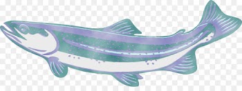 fish fish soap dish