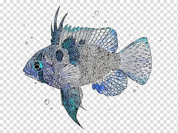 Fish, fishes transparent background PNG clipart
