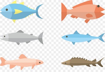 Fish Flat design Illustration - Flat fish Vector Illustration 