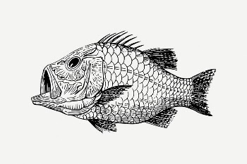 Fish fossil drawing, vintage illustration | Free PSD Illustration - rawpixel