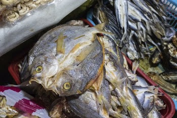 Fish, fresh market in Palawan, | Free Photo - rawpixel