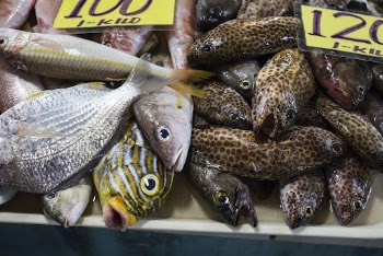 Fish, fresh market in Palawan, | Free Photo - rawpixel