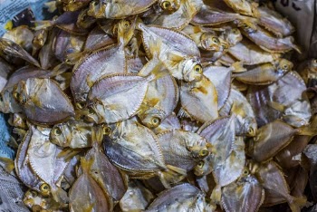 Fish, fresh market in Palawan, | Free Photo - rawpixel