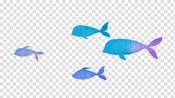 Fish , Hand colored fish transparent background PNG clipart