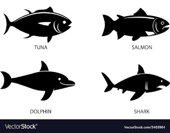 Fish icon set vector image
