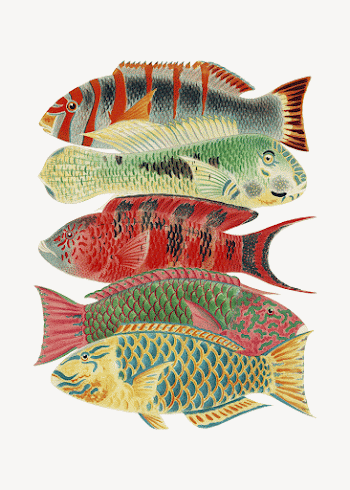Fish illustration sticker, vintage design | Free PSD - rawpixel