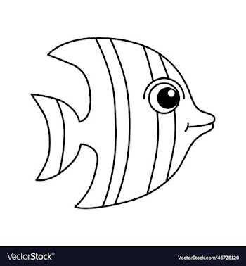 fish isolated on white background