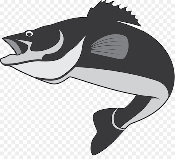 Fish Jumping Euclidean vector - Fish jump 
