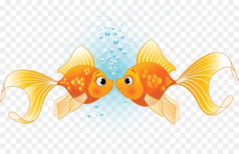 Fish Kissing gourami Illustration - Hand painted kissing fish 