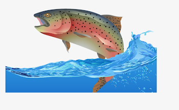 Fish Leaping, Fish Vector, Jumping Fish, Jump Up PNG and Vector ...