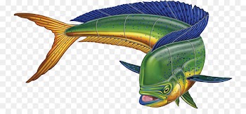 Fish Mahi-mahi Painting Clip art - mahi mahi 