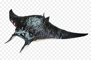 Fish - mant vector 
