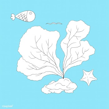 Fish marine life aqua | Free stock vector - 47061