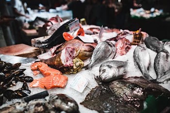 Fish market overview 